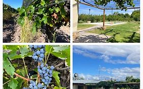 Finca El Vencedor